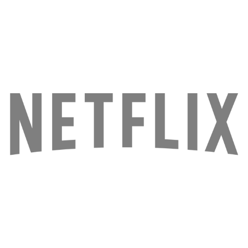 Netflix Text Logo