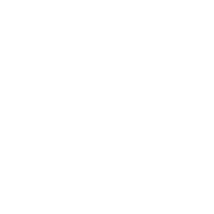 The text logo for Totem where the 'O' in Totem is a solid circle.